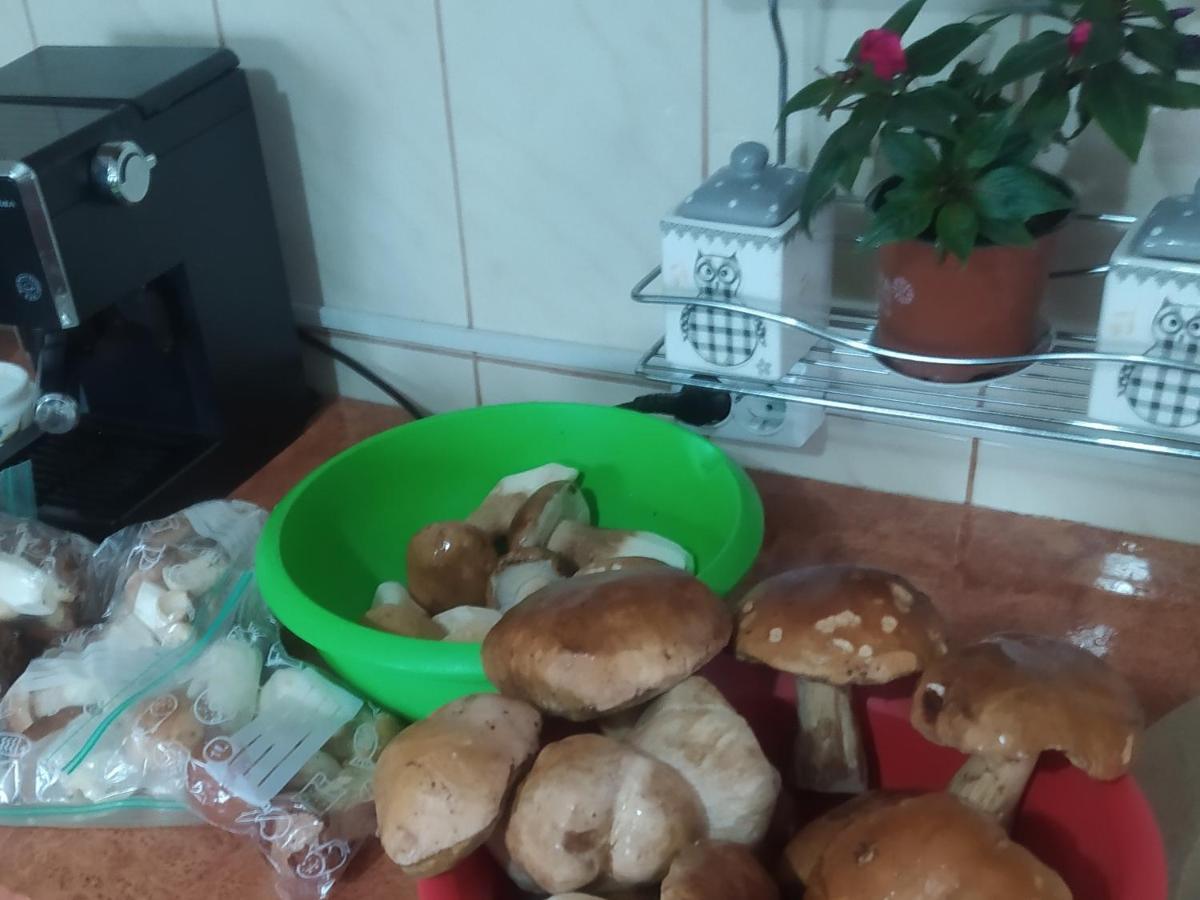 Casa 摩尔多维察 外观 照片